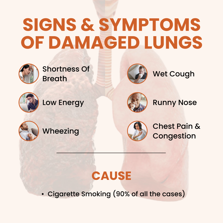 Signs and Symptoms of Damaged Lungs and the Primary Cause