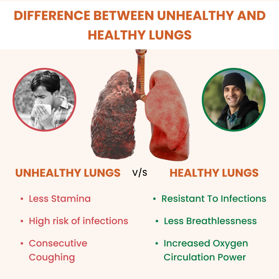 Unhealthy Lungs Vs Healthy Lungs